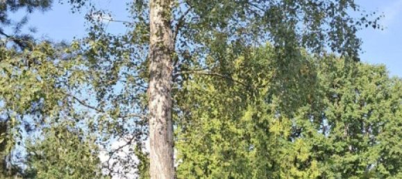  قطعة أرض في Leipzig, Germany رقم 258192 16