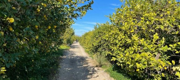 قطعة أرض في Torreaguera, Spain 1300متر مربع رقم 107448 8