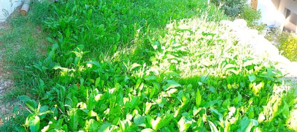 Дом с 4 спальнями в Пасси, Франция № 272657 11