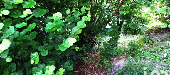 Дом с 4 спальнями в Пасси, Франция № 272657 12