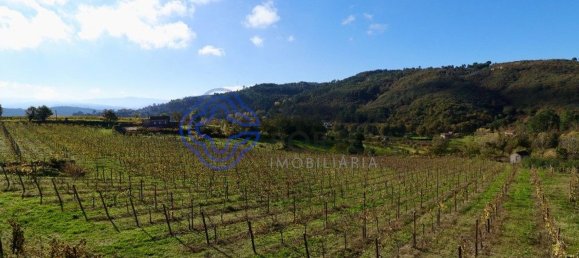 Grundstück in Gove, Portugal 16635m², Nr. 36229 18