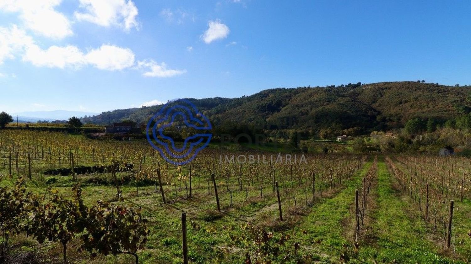 Grundstück in Gove, Portugal 16635m², Nr. 36229