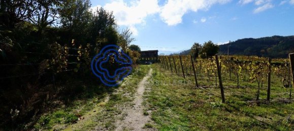 Grundstück in Gove, Portugal 16635m², Nr. 36229 6