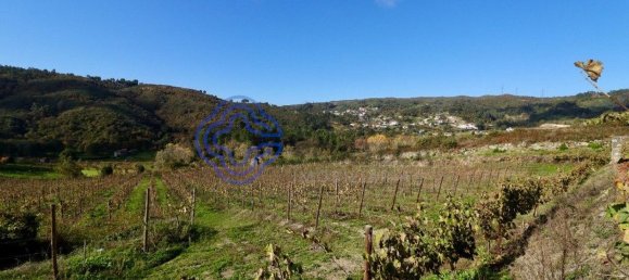 Grundstück in Gove, Portugal 16635m², Nr. 36229 13