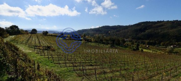 Grundstück in Gove, Portugal 16635m², Nr. 36229 15