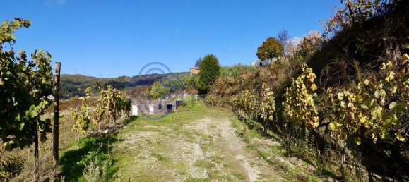 Grundstück in Gove, Portugal 16635m², Nr. 36229 7