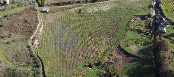 Grundstück in Gove, Portugal 16635m², Nr. 36229 5