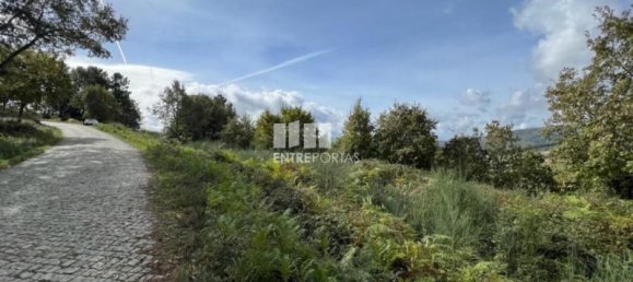 9661m² Land in Baiao, Portugal No. 59412 4