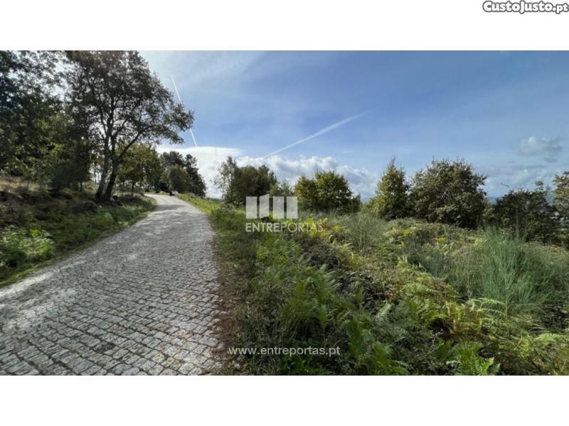 9661m² Land in Baiao, Portugal No. 59412