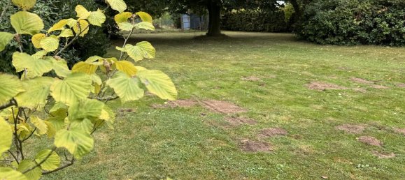 7-Zimmer Stadthaus in Soest, Germany, Nr. 294079 5