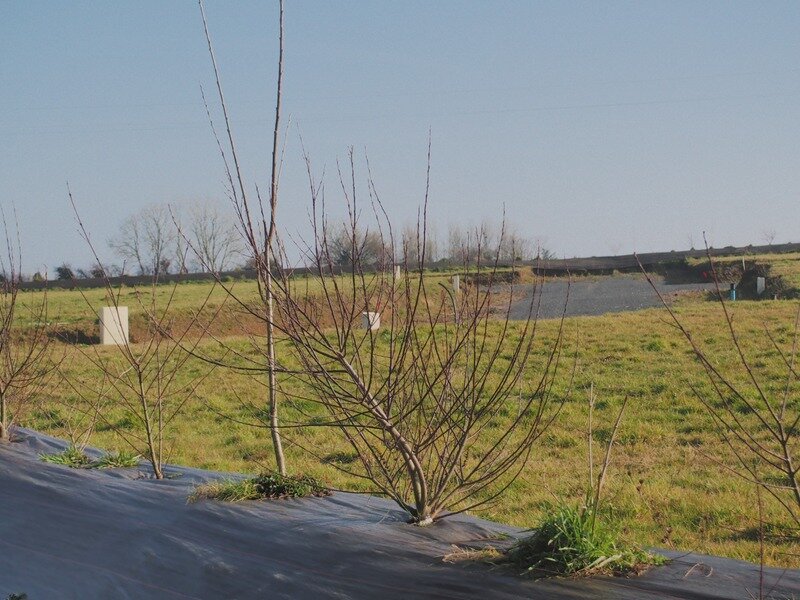  قطعة أرض في Calvados, France رقم 293147