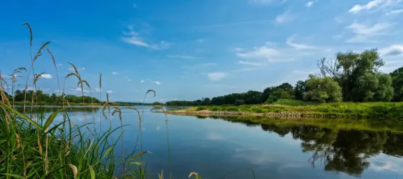 6 rooms House in Frankfurt an der Oder, Germany No. 371808 28