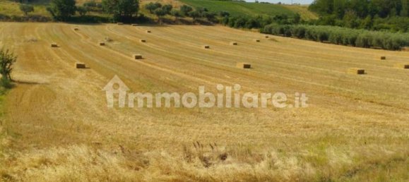 3 Schlafzimmer Haus in Loreto Aprutino, Italy, Nr. 281442 12