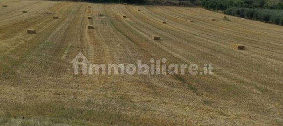 3 Schlafzimmer Haus in Loreto Aprutino, Italy, Nr. 281442 11