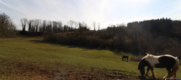 6 bedrooms House in Val-d'Epy, France No. 205770 2