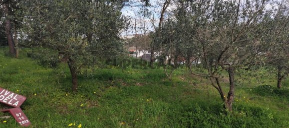 Terrain à Leiria, Portugal No. 157214 4