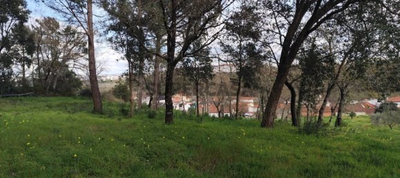 Terrain à Leiria, Portugal No. 157214 2