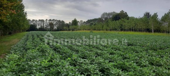 7120m² Land in Villanova di Camposampiero, Italy No. 341398 6