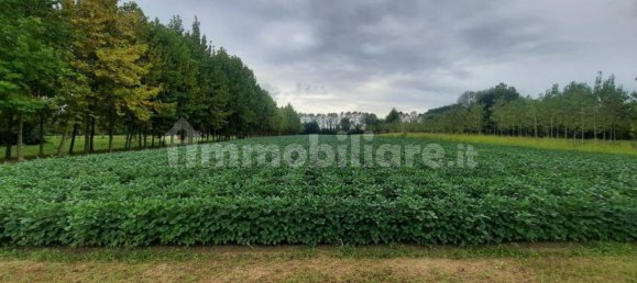 7120m² Land in Villanova di Camposampiero, Italy No. 341398 3