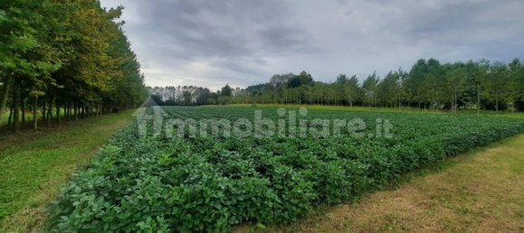7120m² Land in Villanova di Camposampiero, Italy No. 341398 5