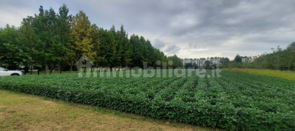 7120m² Land in Villanova di Camposampiero, Italy No. 341398 2