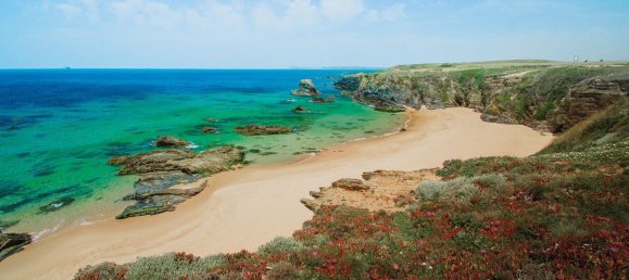 7 bedrooms House in Sines, Portugal No. 142363 10