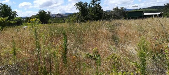  قطعة أرض في Cacabelos, Spain رقم 79691 4