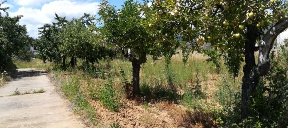  قطعة أرض في Cacabelos, Spain رقم 79691 5