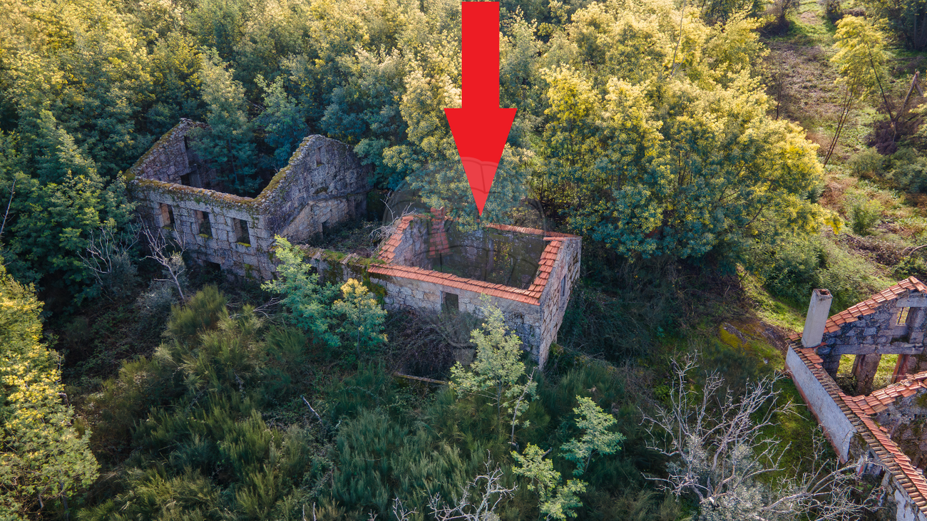 2 Schlafzimmer Haus in Oliveira do Hospital, Portugal, Nr. 31743