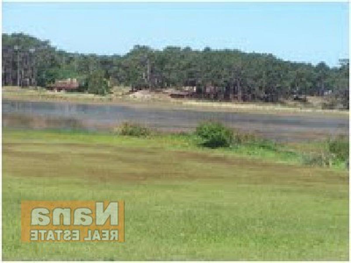  Farm in Maldonado, Uruguay No. 14173