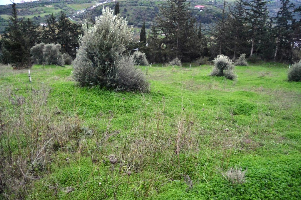  فندق في Heraklion, Greece 4100متر مربع رقم 5307