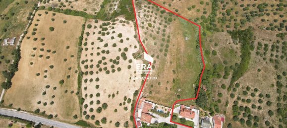 10 bedrooms House in Torres Novas, Portugal No. 49909 4