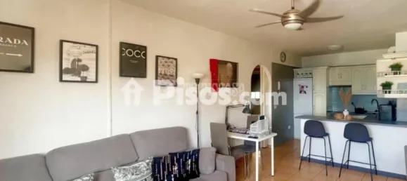 2 غرف نوم شقة في Guimar, Spain رقم 169802 25