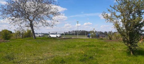 12 rooms Farm in Potsdam-Mittelmark, Germany No. 63252 10