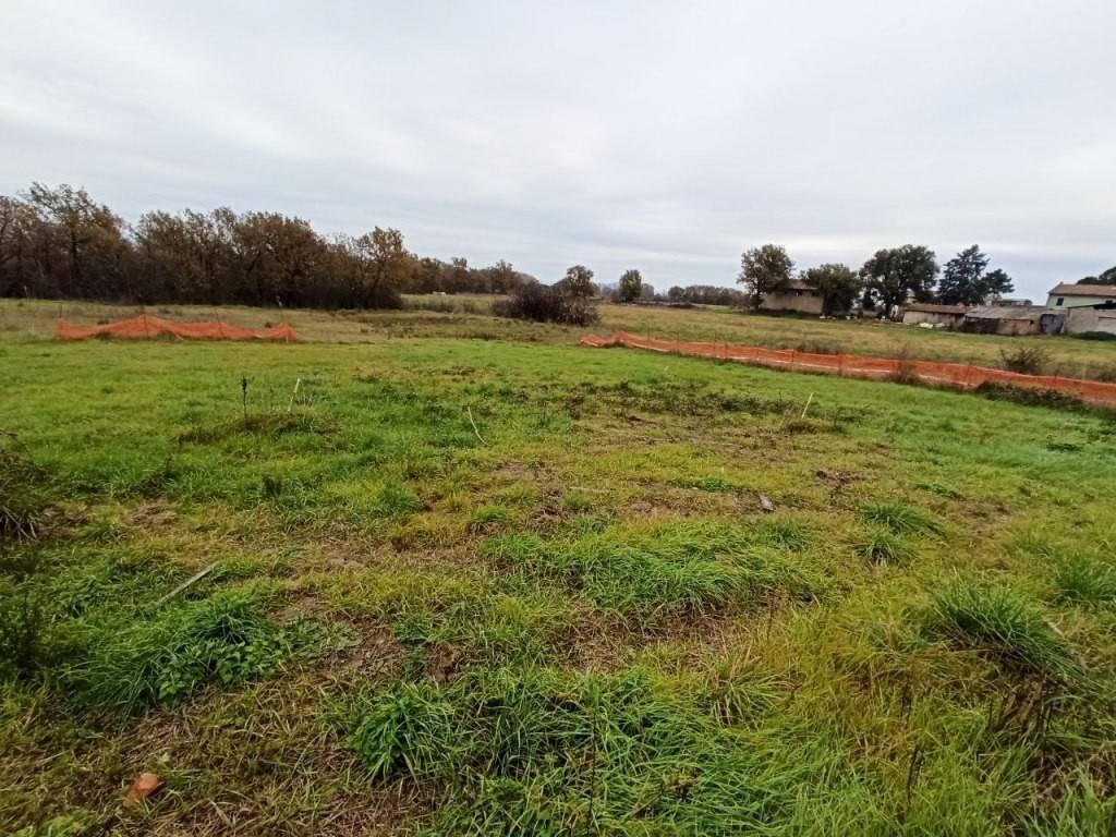 17960m² Land in Castiglione del Lago, Italy No. 108289