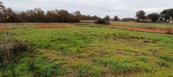 17960m² Land in Castiglione del Lago, Italy No. 108289 5