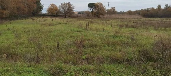 17960m² Land in Castiglione del Lago, Italy No. 108289 4