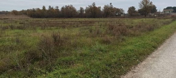 17960m² Land in Castiglione del Lago, Italy No. 108289 8