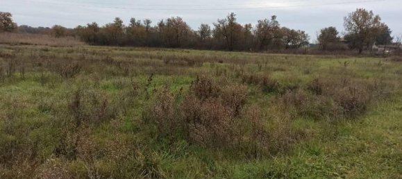 17960m² Land in Castiglione del Lago, Italy No. 108289 2