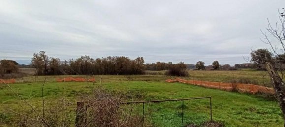 17960m² Land in Castiglione del Lago, Italy No. 108289 7
