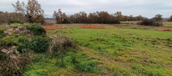 17960m² Land in Castiglione del Lago, Italy No. 108289 3