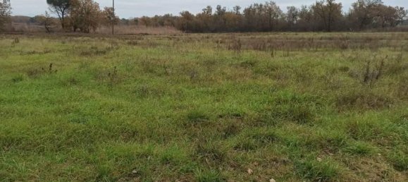 17960m² Land in Castiglione del Lago, Italy No. 108289 12