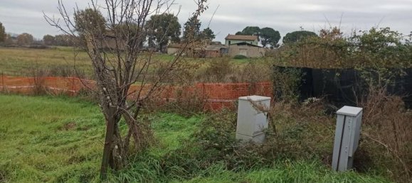 17960m² Land in Castiglione del Lago, Italy No. 108289 6