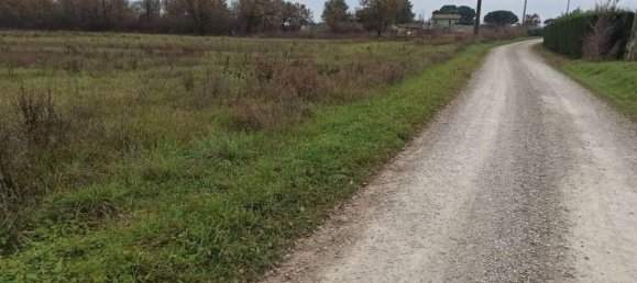 17960m² Land in Castiglione del Lago, Italy No. 108289 11