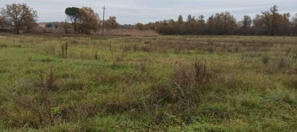 17960m² Land in Castiglione del Lago, Italy No. 108289 9