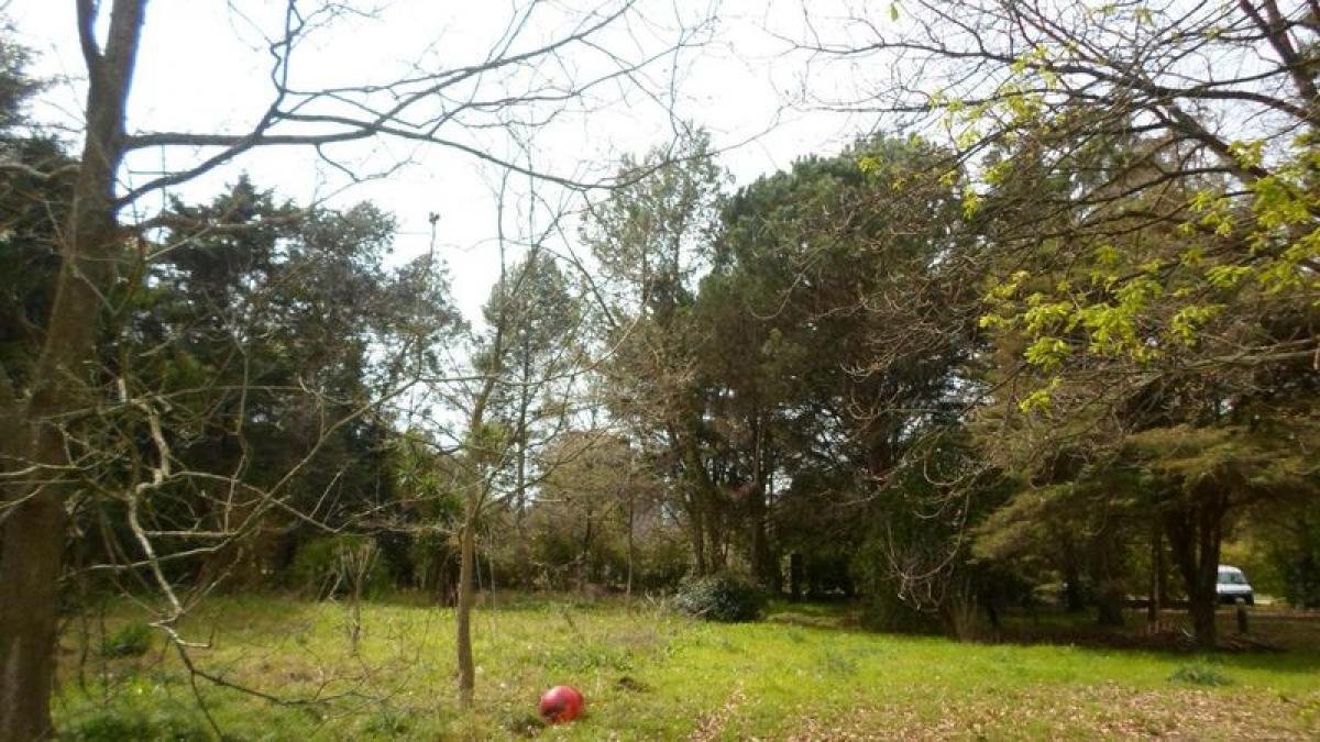  Land in Campo Creado, Argentina No. 48673