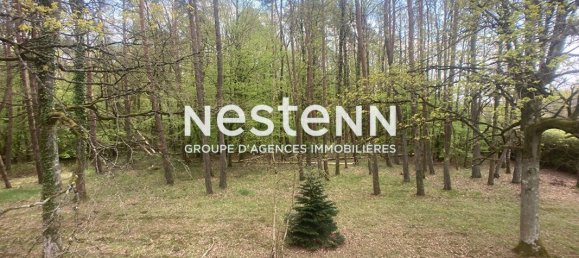 4 bedrooms House in Nesploy, France No. 40360 7