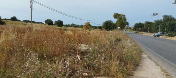 57000m² Land in Scicli, Italy No. 256309 4