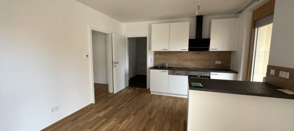 3172m² Building in Feldbach, Austria No. 149878 46