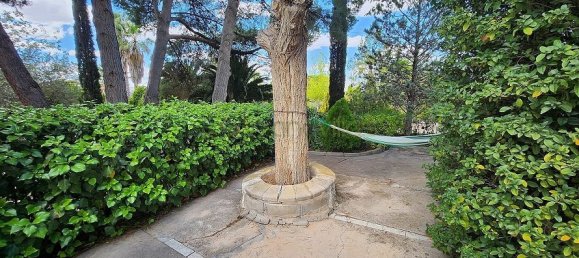 Дом с 5 спальнями в Сакс, Испания № 25805 15